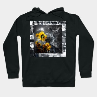 Aspiration of the soul Hoodie